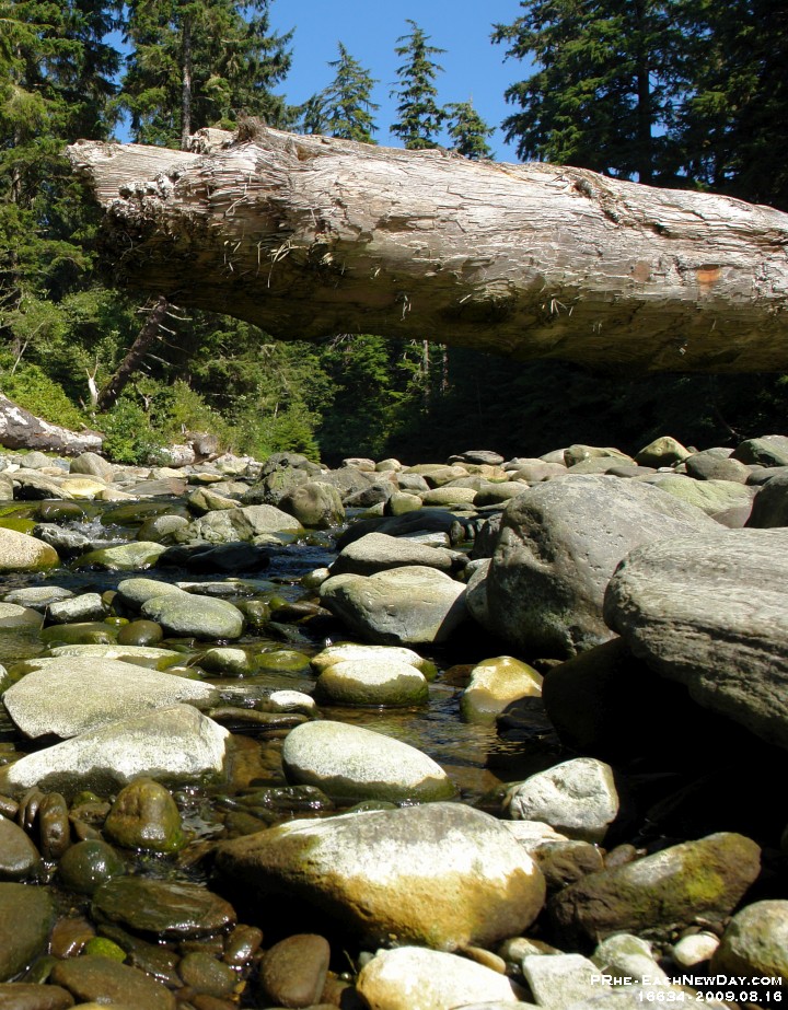 16634CrLeRe - Sombrio Beach